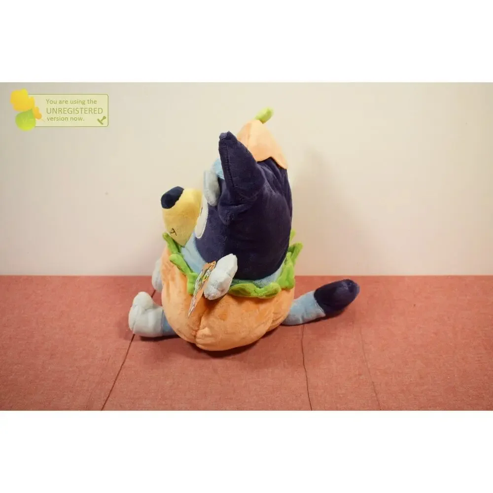 Animal Adventure animal adventure